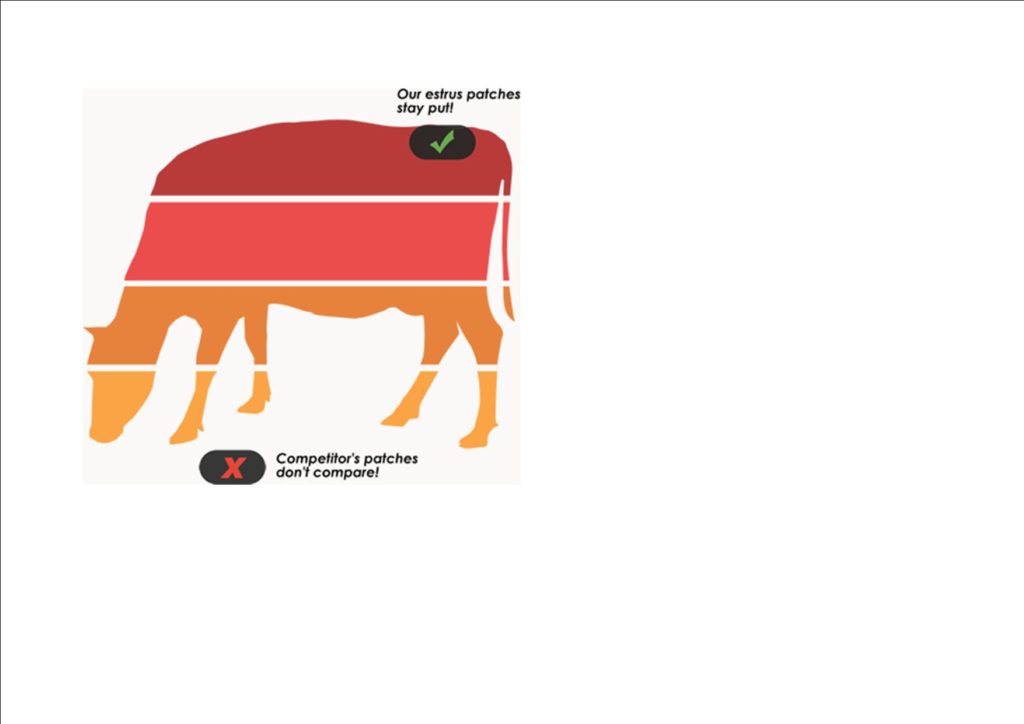 Standing Heat Pregtest Australia