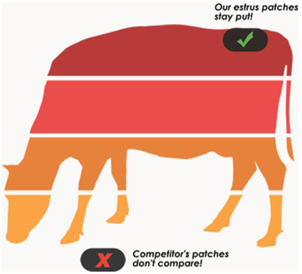 Standing Heat copy Pregtest Australia